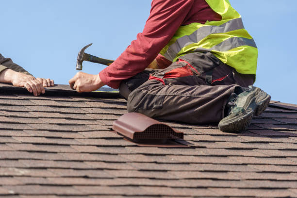 Best Emergency Roof Repair  in Niles, OH