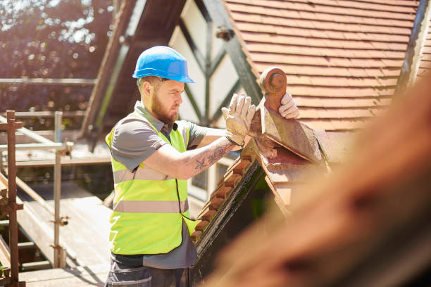 Best Roof Repair Services  in Niles, OH